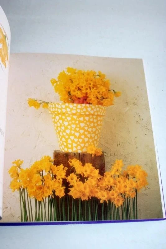 Boek "De tuin van de feeën" van Anne Geddes – photo 2